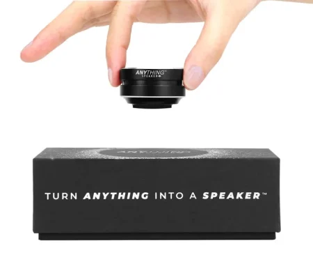 Anything Speaker
