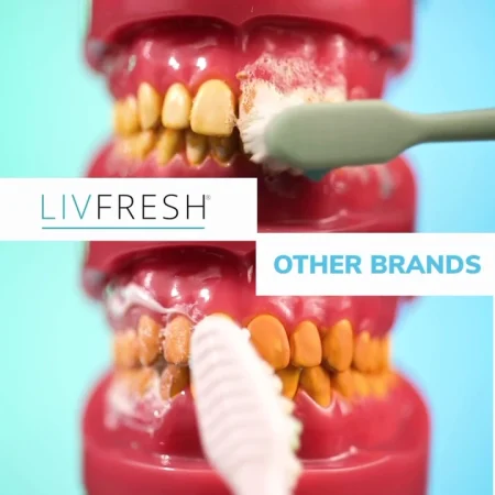 LivFresh Dental Gel