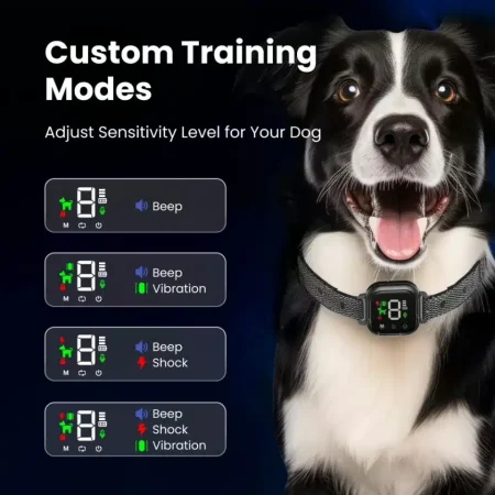 NooBark Anti-Bark Collar